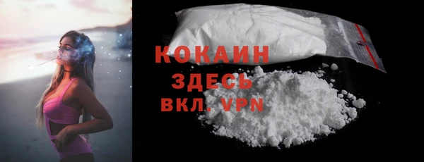 хмурый Алзамай