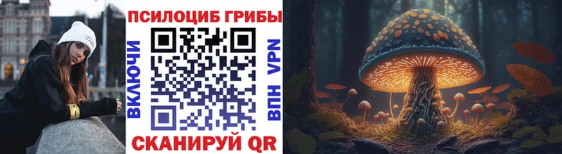 Купить  Верхняя Тура  Псилоцибиновые грибы мухоморы 